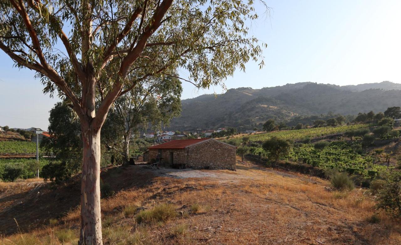 Quinta De Gandarem Villa ตอร์เฮ เด มองคอร์โว ภายนอก รูปภาพ